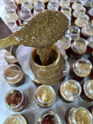 معجون درمانی کلحر بیماری های معده/نفخ/سوزش/رفلاکس/زخم معده/ترکیب 16 گیاه +10گرم ژل رویال -طب سنتی ایرانی هندی--یک کیلو