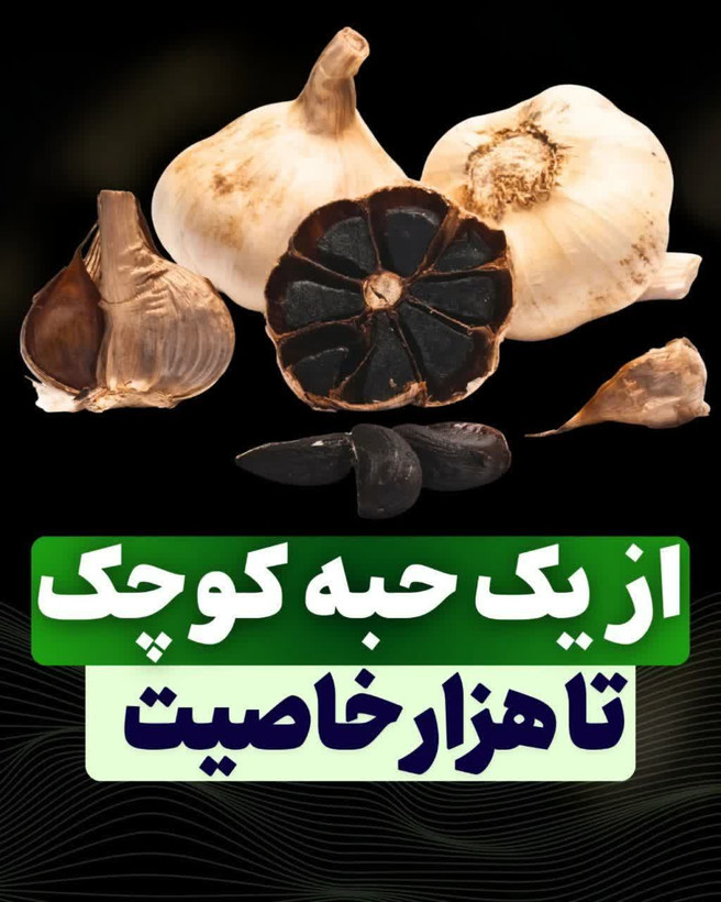 سیرسیاه ژاپنی تخمیری مناسب بیماری جنسی اقایان زودانزالی و عدم نعوظ دارای پنج تاییده بهداشتی